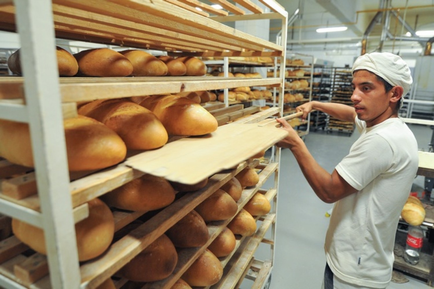 Mi köze az afrikai sertéspestisnek és a cseh tejpor drágulásának a magyar kenyér áremelkedéséhez?